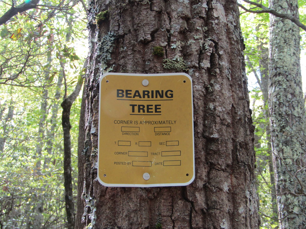 Anyone know what this "Bearing Tree" sign means? RallyPoint
