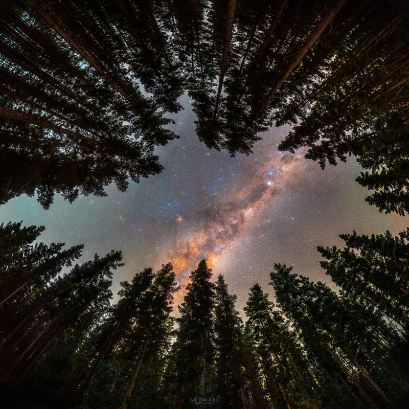 APOD 2021 July 19 Framed by Trees A Window to the