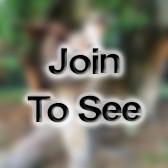 (Join to see) CH (COL) Command and Unit Chaplain
