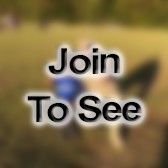 (Join to see) CSM Battalion Command Sergeant Major