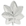 O-5 - LtCol O-5 - LtCol